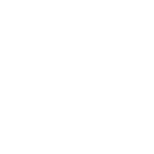 description of the image